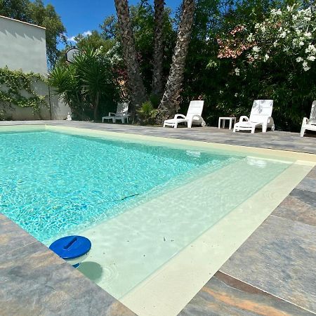 Le Mas Du Bijou Bleu Puget-sur Argens Bagian luar foto