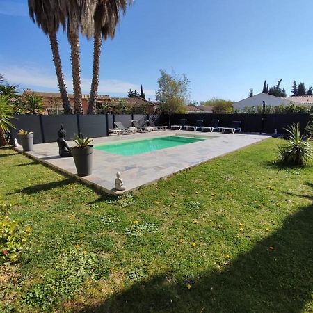 Le Mas Du Bijou Bleu Puget-sur Argens Bagian luar foto