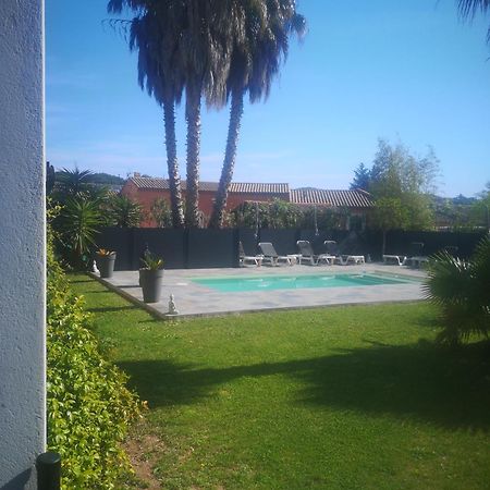 Le Mas Du Bijou Bleu Puget-sur Argens Bagian luar foto