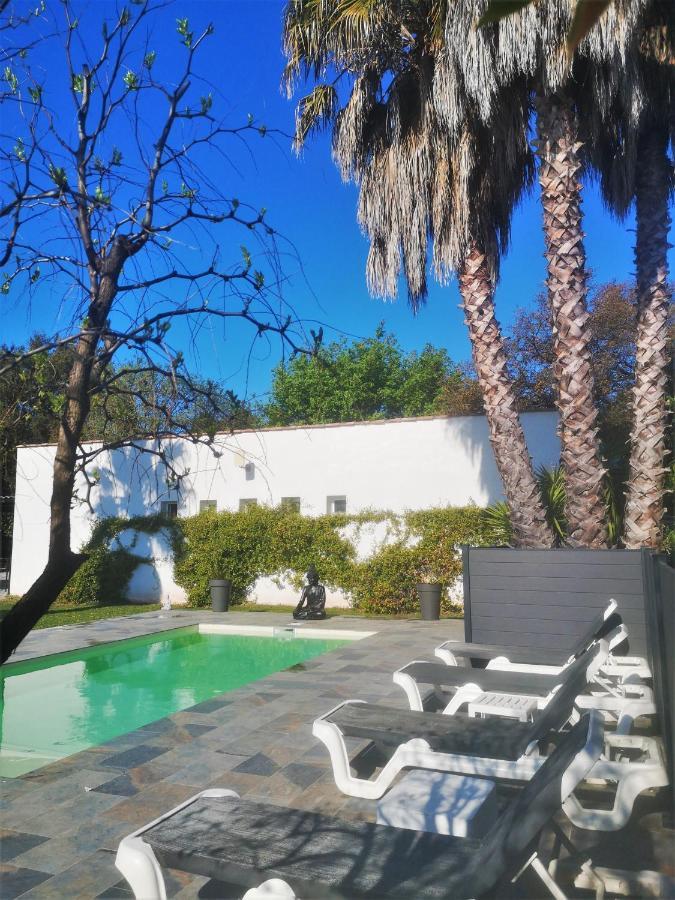 Le Mas Du Bijou Bleu Puget-sur Argens Bagian luar foto