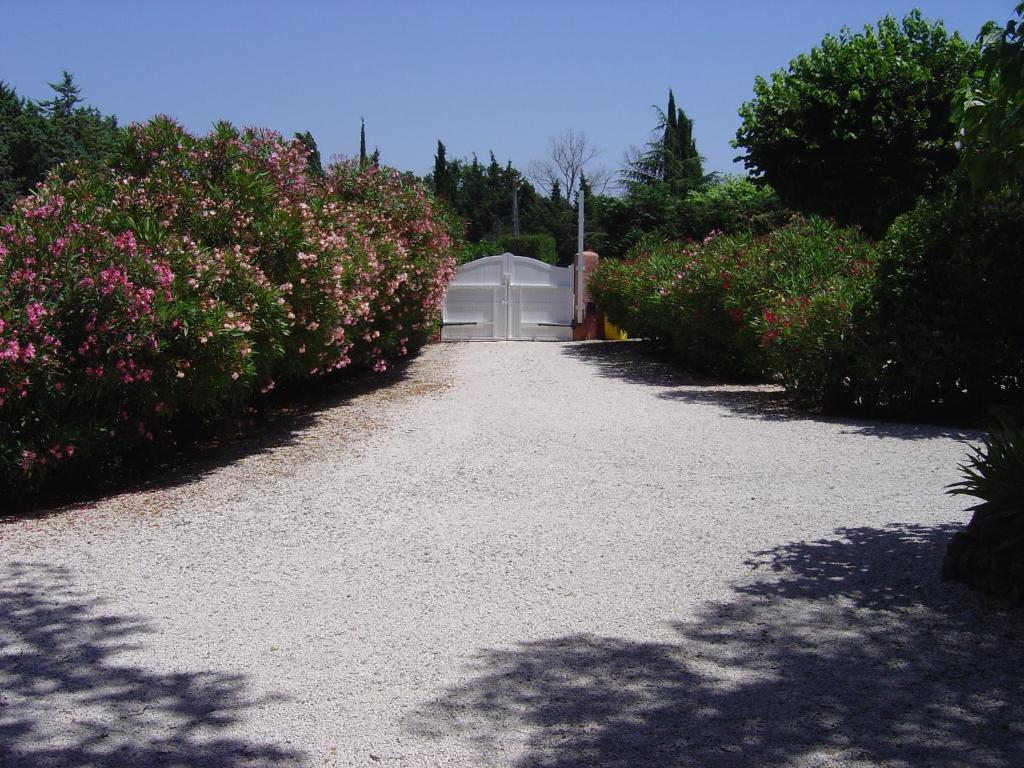 Le Mas Du Bijou Bleu Puget-sur Argens Ruang foto